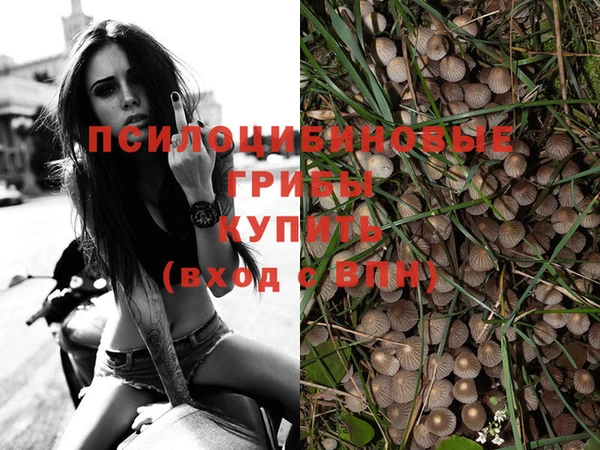 jwh Аркадак