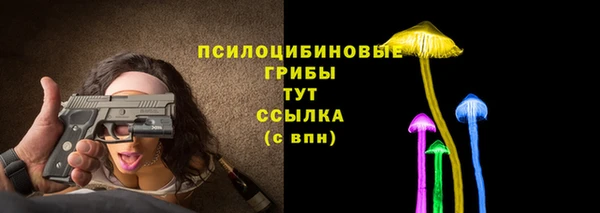 герыч Арсеньев