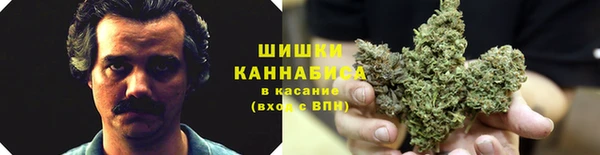 крисы Армянск